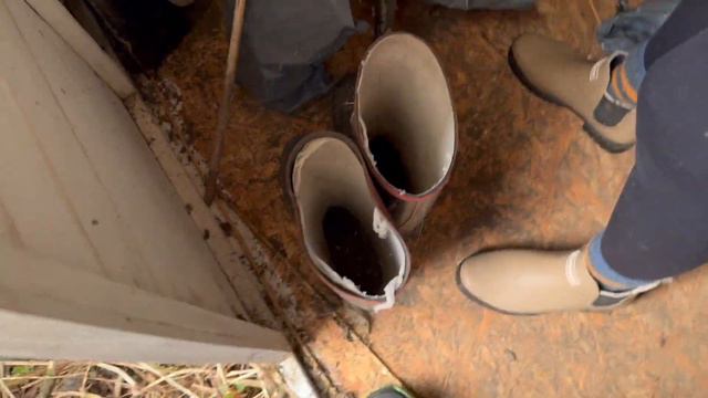 Zaczynamy nowy rozdział | vlog z działki смотреть онлайн