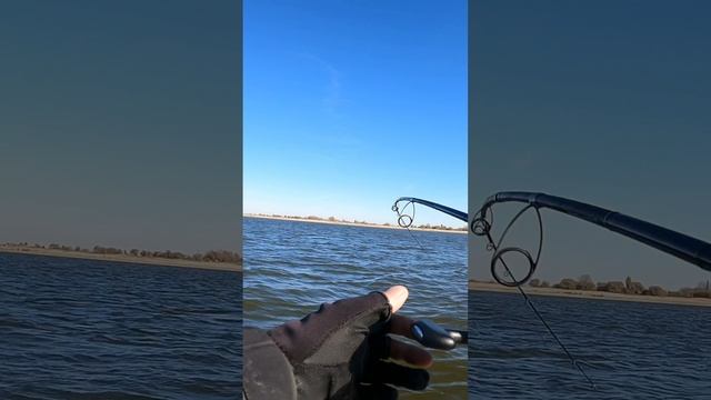 Зверская поклевка хорошей щуки в Астрахани на джиг? смотреть онлайн