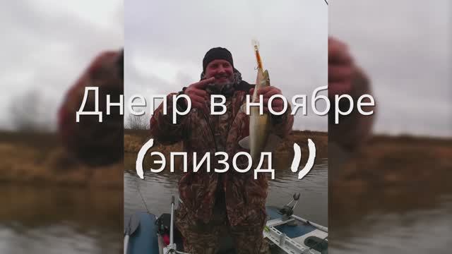Днепр в ноябре (эпизод 1)! Рыбалка 4.11.2022г.