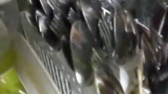 whirlpool and смотреть онлайн