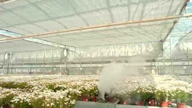 Pirimor (Пиримор) (063) 371-87-78 смотреть онлайн