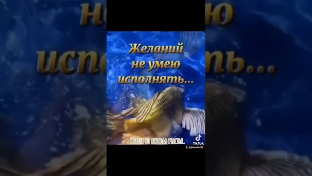 Пожелания 💐#цитаты #жизньсовкусомсчастья #семья #любовь #foryou #жизнь #длятебя #душа смотреть онлайн
