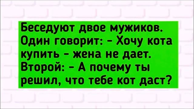 А сколько МУЖЧИН у тебя было ДО МЕНЯ? ЗАБАВНЫЙ анекдот дня. смотреть онлайн
