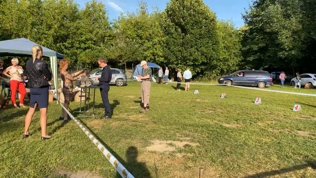 Монопородная выставка Пуделей ранга КЧК в каждом классе, эксперт Мамонтов Д.О. смотреть онлайн