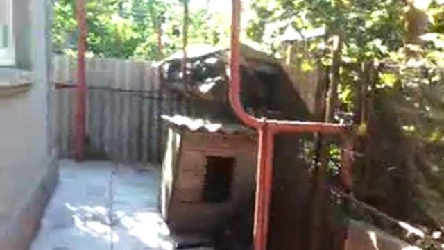 Где заказать эссе перейти на сайт 24newnews ru смотреть онлайн