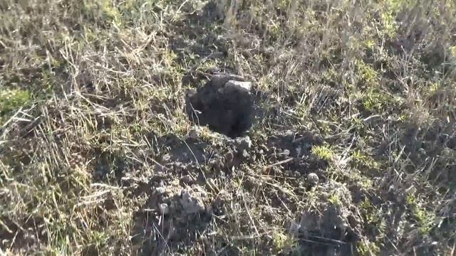 METAL DETECTOR GAME И РЕАЛЬНЫЙ КОП смотреть онлайн