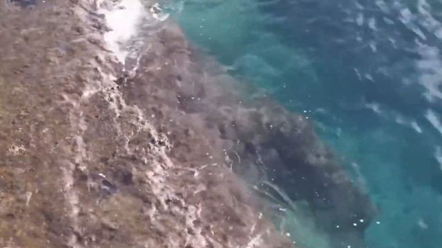 TESTEMUNHO CHOCANTE DA IRMÃ DALVA! - DO CONVENTO ATÉ A MAGIA NEGRA! (Testemunho Completo)