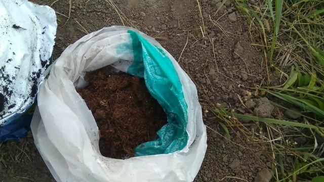 Посадка голубики Бонус смотреть онлайн