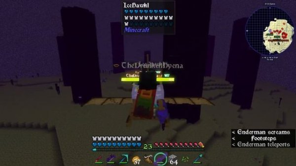 IN TO THE END!!!!! - Minecraft Dark RPG