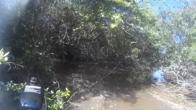 Arroyo en la reserva Pereyra | Explorando | Naturaleza смотреть онлайн
