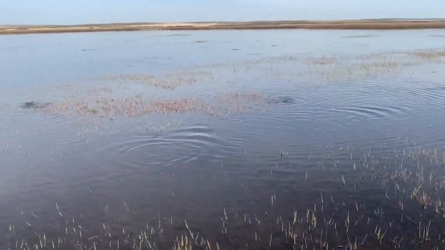 Рыбалка Кульса. смотреть онлайн