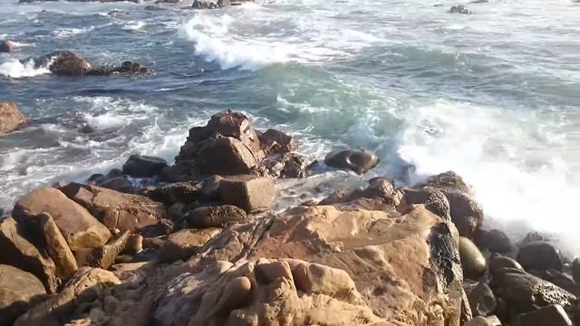 USA.CA. Тихий океан. Без слов... смотреть онлайн