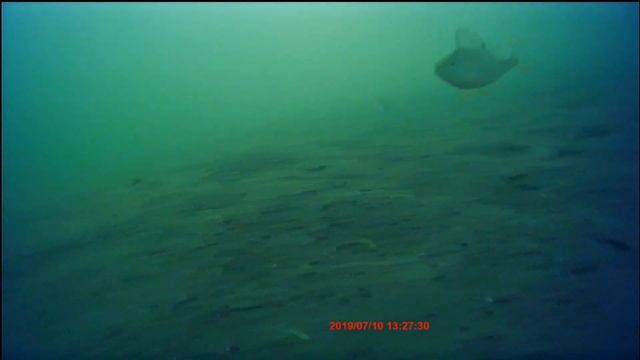 Рыбалка и тест подводной камеры Erchang смотреть онлайн