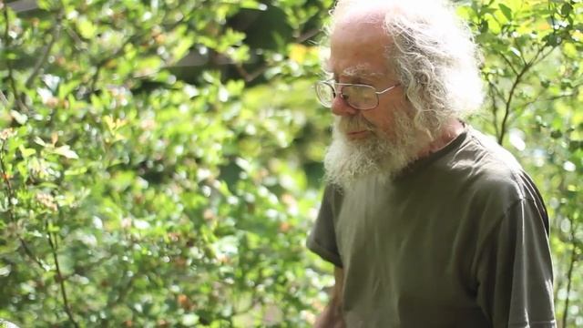 Crataegus pinnatifida (Chinese Hawthorn) смотреть онлайн