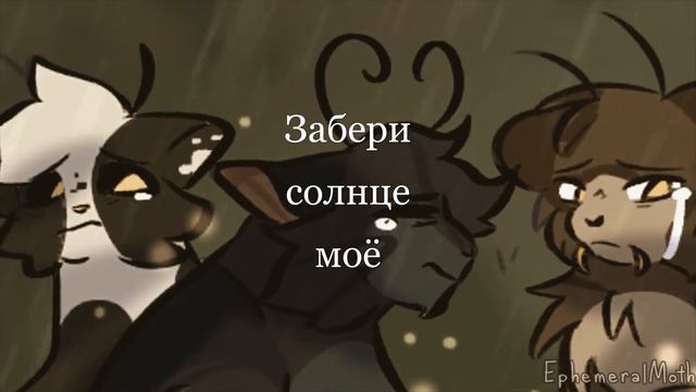 Забери солнце моё ~Warriors cats~AMV смотреть онлайн