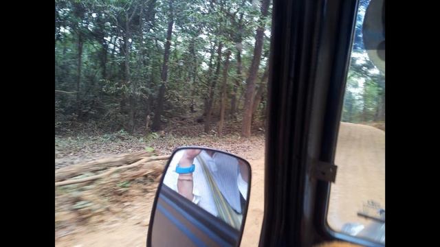 India Goa 20130418 Национальный парк Бхагван Махавир (Bhagwan Mahaveer), штат Гоа, Индия смотреть онлайн