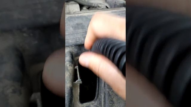 Дастер, вода попала в полость под катушкой. смотреть онлайн