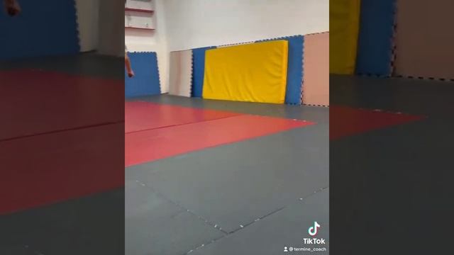 Дети хоккей дзюдо игры для детей дзюдо тренировки дети 3-4 года смотреть онлайн