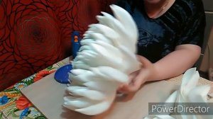 Хризантема из изолона ч. 2