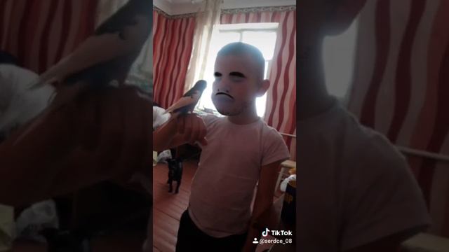 мой брат напал на попугая смотреть онлайн