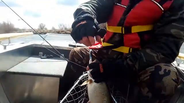 Крупный жерех смотреть онлайн