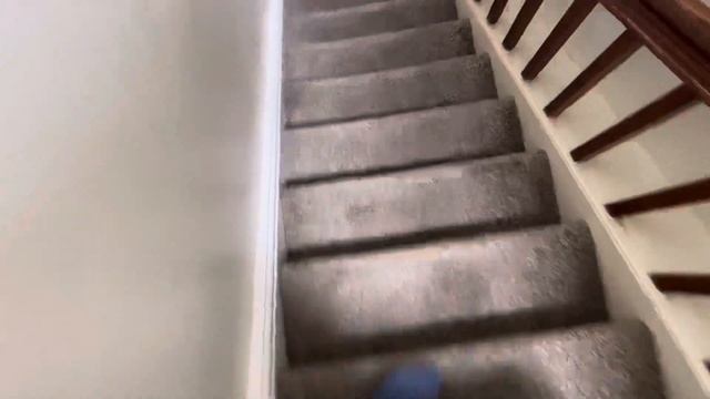 Dyson V15 Detect Review and Maintenance tips part 2 смотреть онлайн