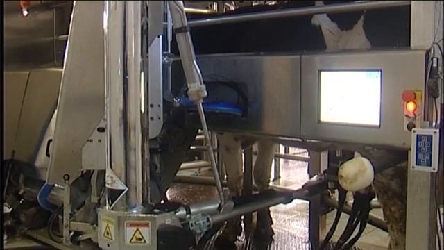 Ӝыт иворъёс 24-тӥ оштолэзь 2017-тӥ ар смотреть онлайн