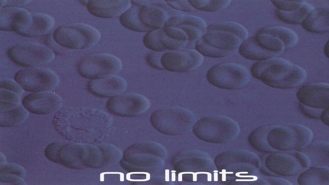 RESET - NO LIMITS - 11/13 - BIG BROTHER (1999) смотреть онлайн