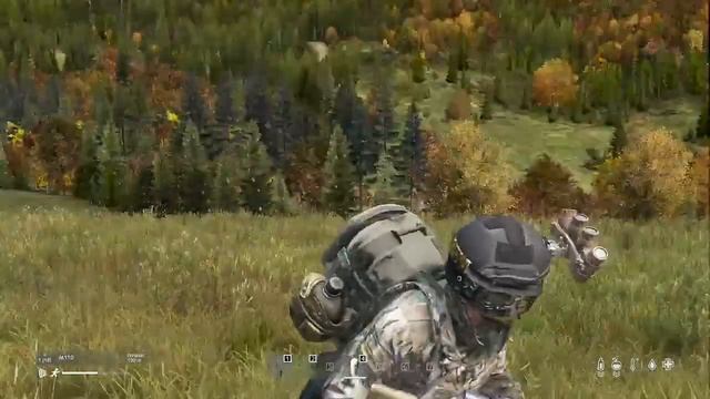 [30 FPS GAMING] выживаем тут как можем | DayZ смотреть онлайн
