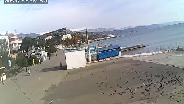 Вебкамера "Морвокзал". Запись 02.11.2016 10:00:16 смотреть онлайн