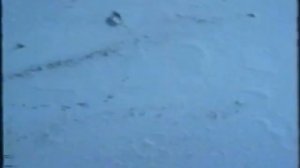 Якутия -90. Санитарный отстрел волков с вертолета.