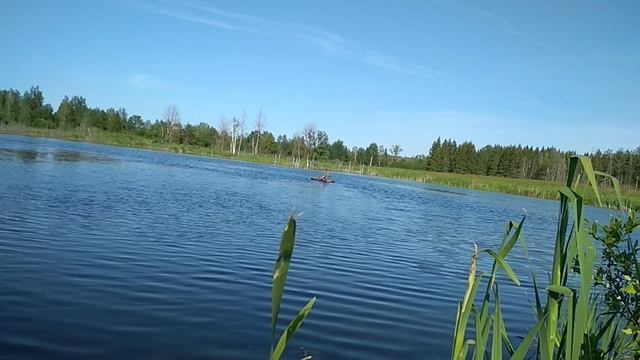VID_20230613_171054.mp4 смотреть онлайн