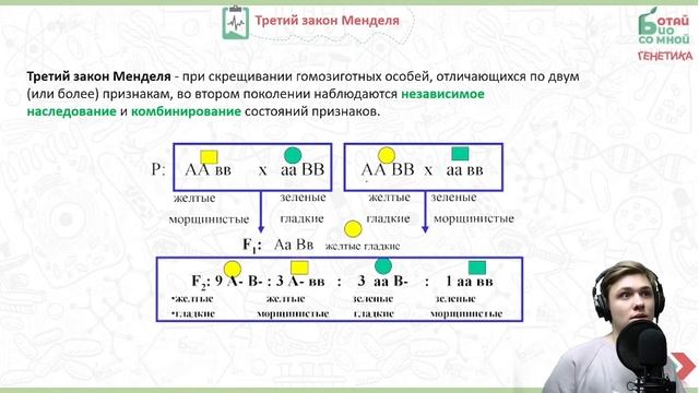 Генетика ЕГЭ(Законы Менделя) смотреть онлайн