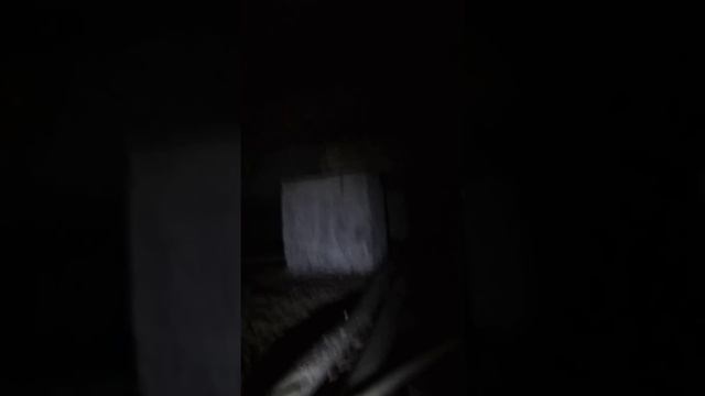 Ужасы домашнего хозяйства. Жена попросила провести шланг для полива огорода через погреб. смотреть онлайн