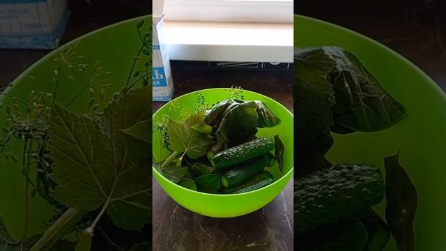 Домашний стол для всех 