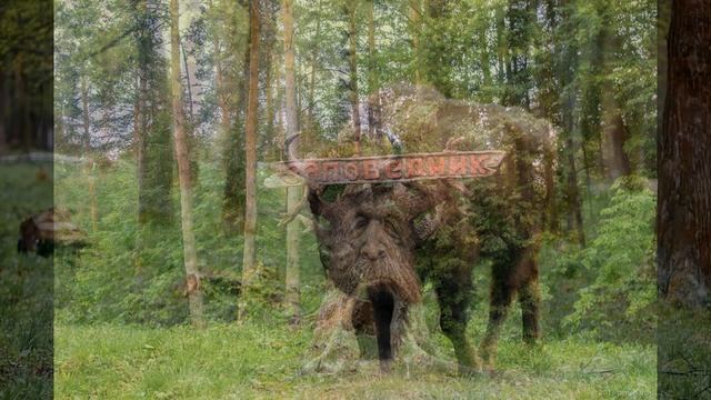 Окружающий мир 4 класс ч.1, "По заповедникам и национальным паркам", с.118-123, Перспектива. смотреть онлайн