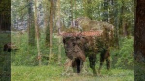 Окружающий мир 4 класс ч.1, "По заповедникам и национальным паркам", с.118-123, Перспектива.