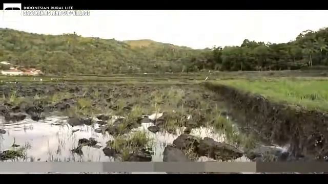 BABAKAN ASTANA SUB-VILLAGE - LOJI | SUKABUMI - WEST JAVA | INDONESIA RURAL LIFE #5 | DAN BASTIAN смотреть онлайн