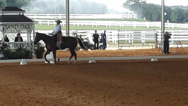 Sucha Fine Knockout and Lynn Palm Basic Level Test 3 WDAFL Championships смотреть онлайн