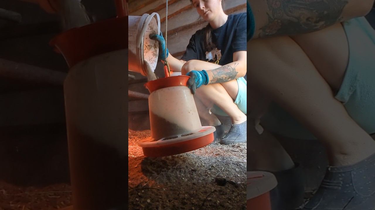 КАК ЛЮДИ ЖИВУТ В ДЕРЕВНЕ смотреть онлайн