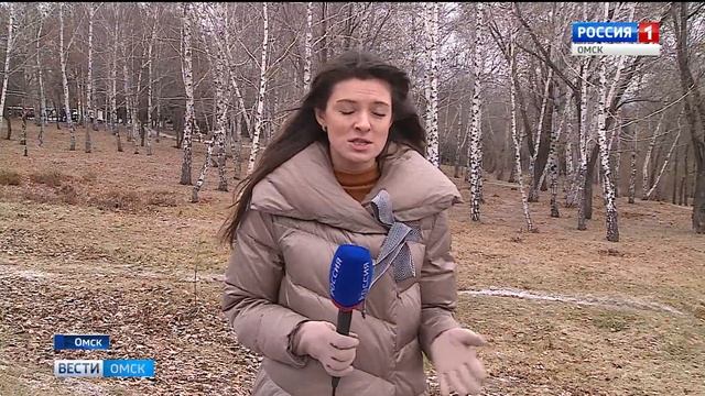 Исчезают воробьи смотреть онлайн