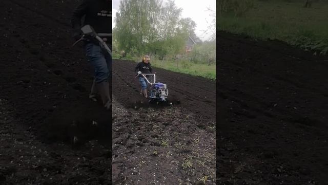 Восемь фрез на мотоблоке Нева МБ 23 мультиагро #мотоблок #огород #дача смотреть онлайн