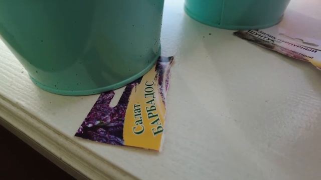 Вкусные Салаты