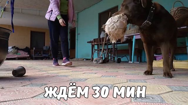 Лучшее средство от ржавчины. До и после смотреть онлайн