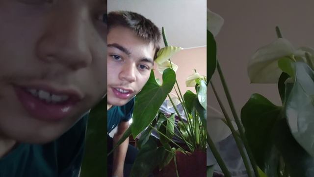 Артем завсеголов рассказывает как его бабушка любит цветы смотреть онлайн