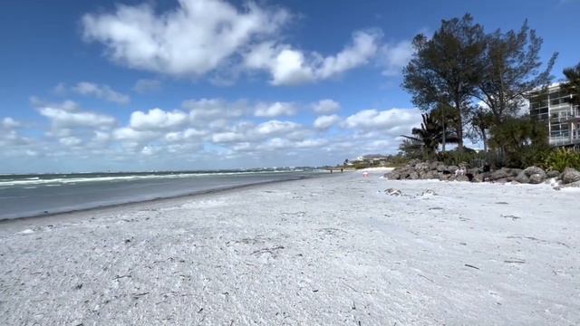 ❤️ Living In Sarasota 2023 ❤️ смотреть онлайн