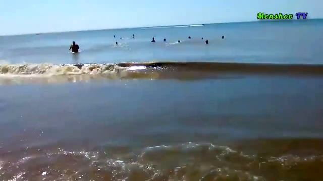 Почему не собирают тину на морском побережье? Заработок на переработке или удобрении водорослями смотреть онлайн