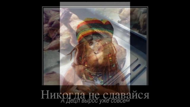 Сборник демотивационных приколов 9 / Funny 2015 смотреть онлайн