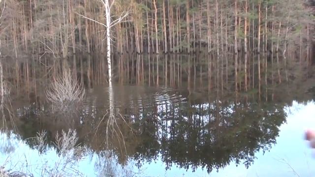 Разлив реки Линда - Нижегородская область 2012 08 смотреть онлайн