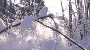 Л  ВЕЛИКАНОВА Зимний роман вальс